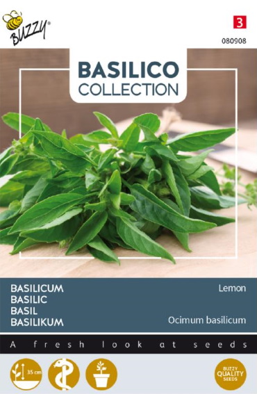 Citroenbasilicum (Ocimum  citriodorum) 900 zaden BU
